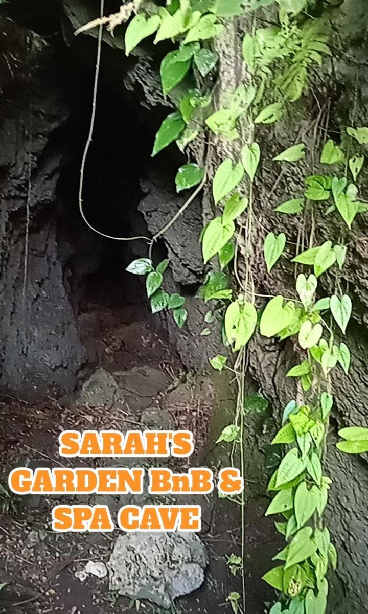 Bed and Breakfast Sarah'S Garden Bnb & Spa Clarin  Екстер'єр фото