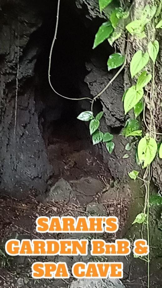 Bed and Breakfast Sarah'S Garden Bnb & Spa Clarin  Екстер'єр фото